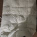 Finally! New King Sized Strip Down Comforter by Charter Club | Excellent Deal