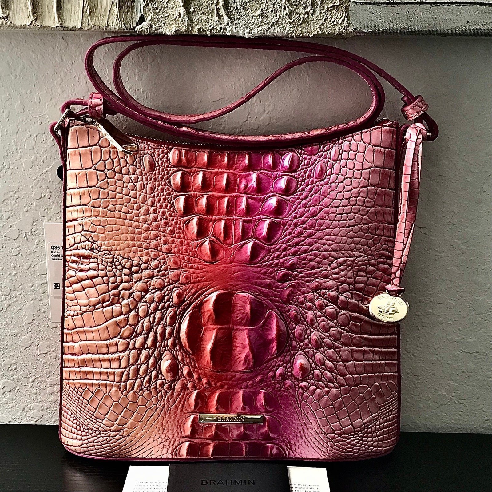 Brahmin CUPID OMBRÉ MELBOURNE KATIE Crossbody W/FULL Eye Medallion FRONT & BACK