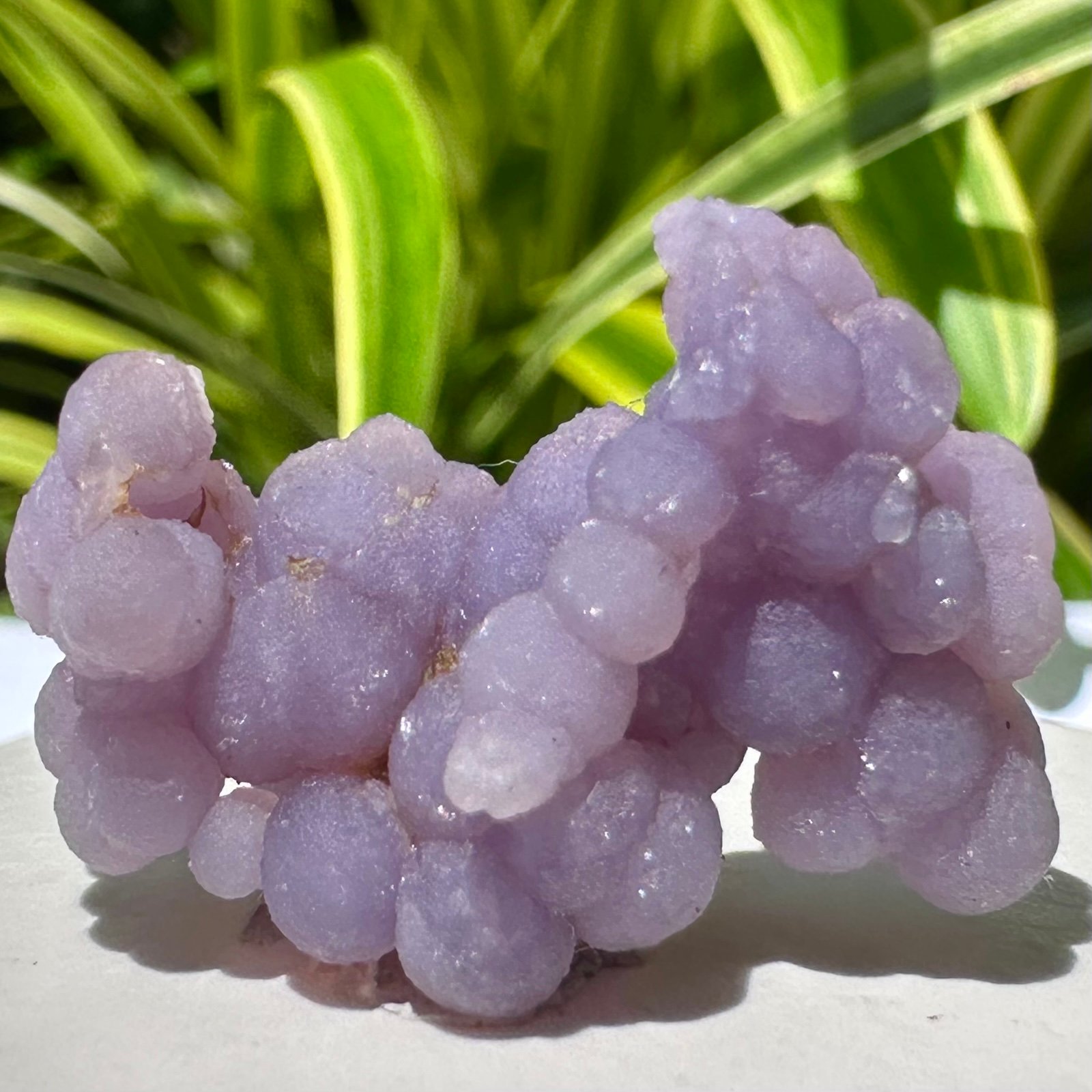 Druzy Grape Agate Crystal Cluster Purple Botryoidal Chalcedony Violet Amethyst