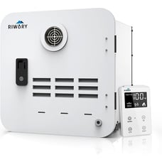 540 RV Tankless Water Heater Shower Kit Remote Control Double Water Outlet 12V