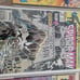 Lot of 8 Spiderman Comics