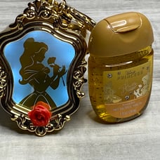 Bath & Bodyworks Belle pocketbac Holder and hand sanitizer light up keychain NEW