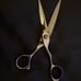 Shears