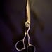 Shears