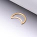 Pure24K Implant Grade Titanium Gem Lined Crescent Moon Seamless Clicker Ring