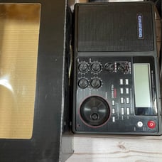 Grundig S450DLX Field Radio
