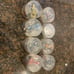 UCC Coffee, Tamiya, RC Car collection ver.2,All 8 Cars