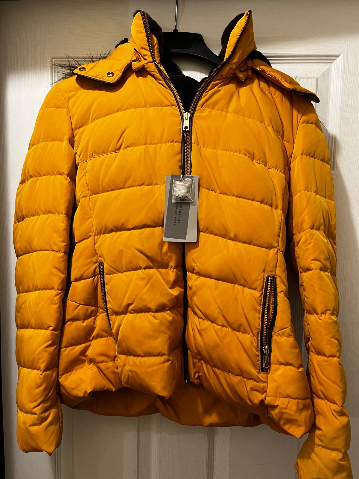 Zara Basic Outerwear
