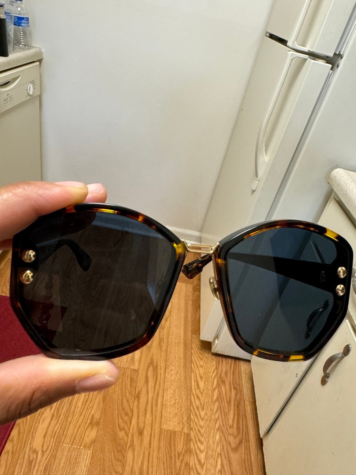 Sunglasses Dior addict 2 women Sunglasses