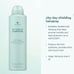 Alternative My Hair My Canvas City Slay Shielding Hairspray