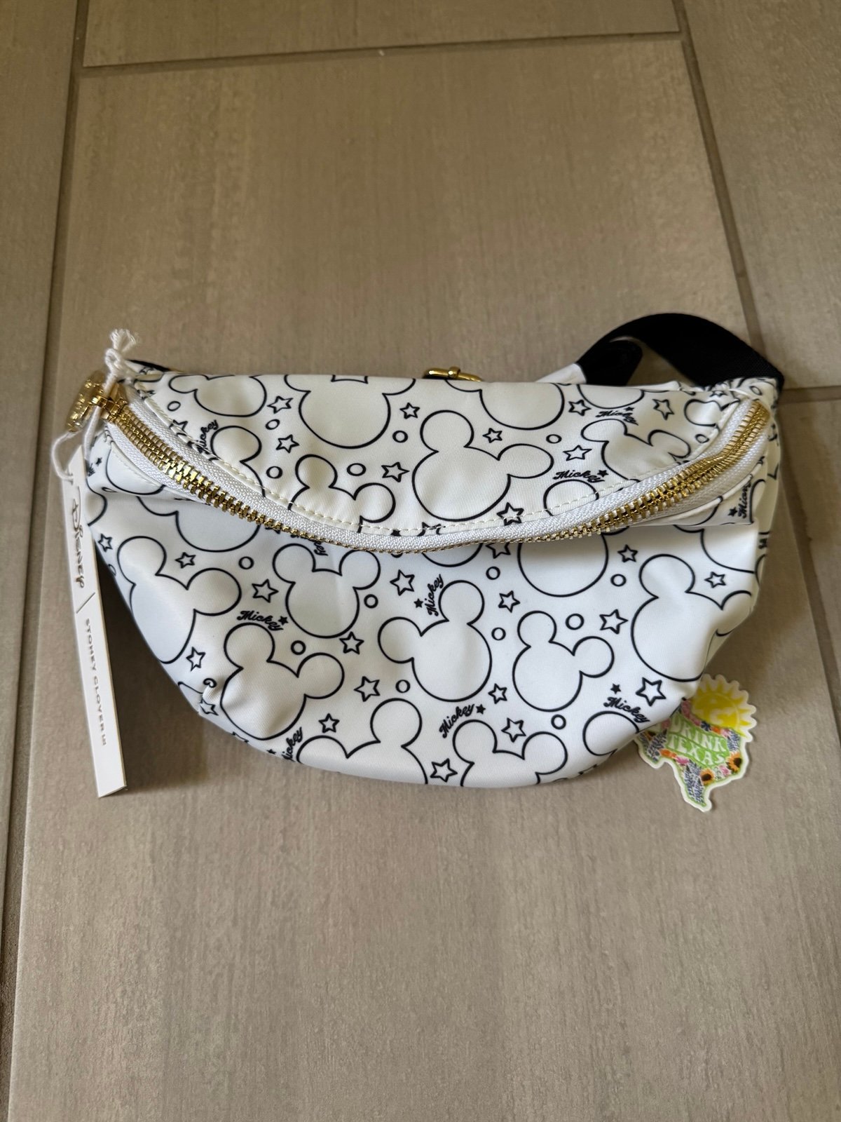 SCL Mickey Fanny