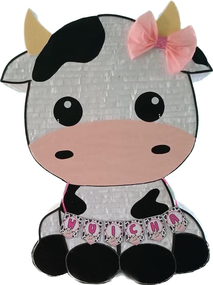 Handmade Piñata