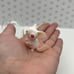 Ooak Handmade Sea Mouse Creature in Terrarium Jar - figurine pet miniature doll