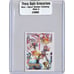 MINT 9 Cartoon Network POKEMON 3 Mini Sticker Venezuela