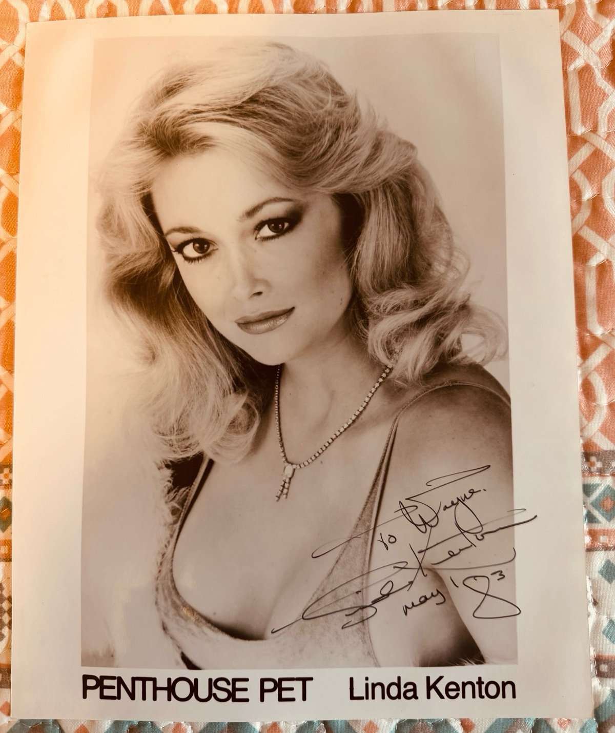 Autographed penthouse pet