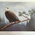 Leo Stan USA WildlifeHeritage Collection