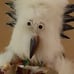 Hopi Tribal Owl Kachina Doll, Made From Rabbit Fur, With Stand, Signed EJ