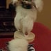Hopi Tribal Owl Kachina Doll, Made From Rabbit Fur, With Stand, Signed EJ