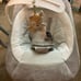 baby swings and bouncers