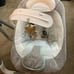 baby swings and bouncers
