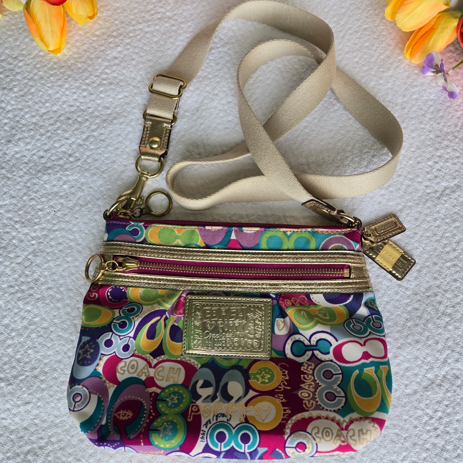 Coach Graffiti Poppy Signature c Glam Crossbody bag.