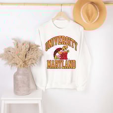 Vintage University of Maryland Sweatshirt, Maryland school gift , Maryland