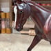 Breyer Strapless