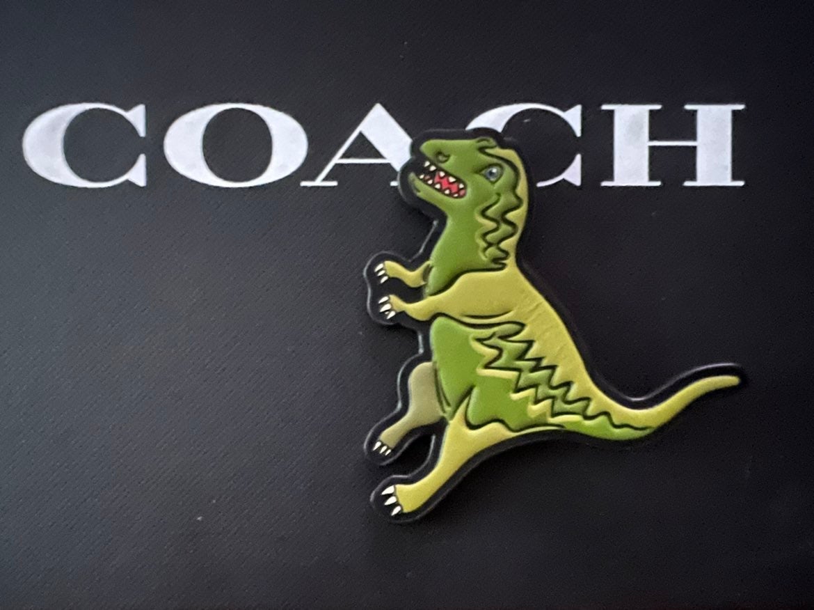 Rexy leather tag /COACH