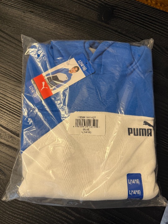 Puma Power Cat Pullover Hoodie Youth Boys Blue Casual Outerwear Sz L (14/16)