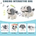 Dog Toys for Kids Girls, Realistic Dog Stuffed Animals, Toy Dogs That Walk and B