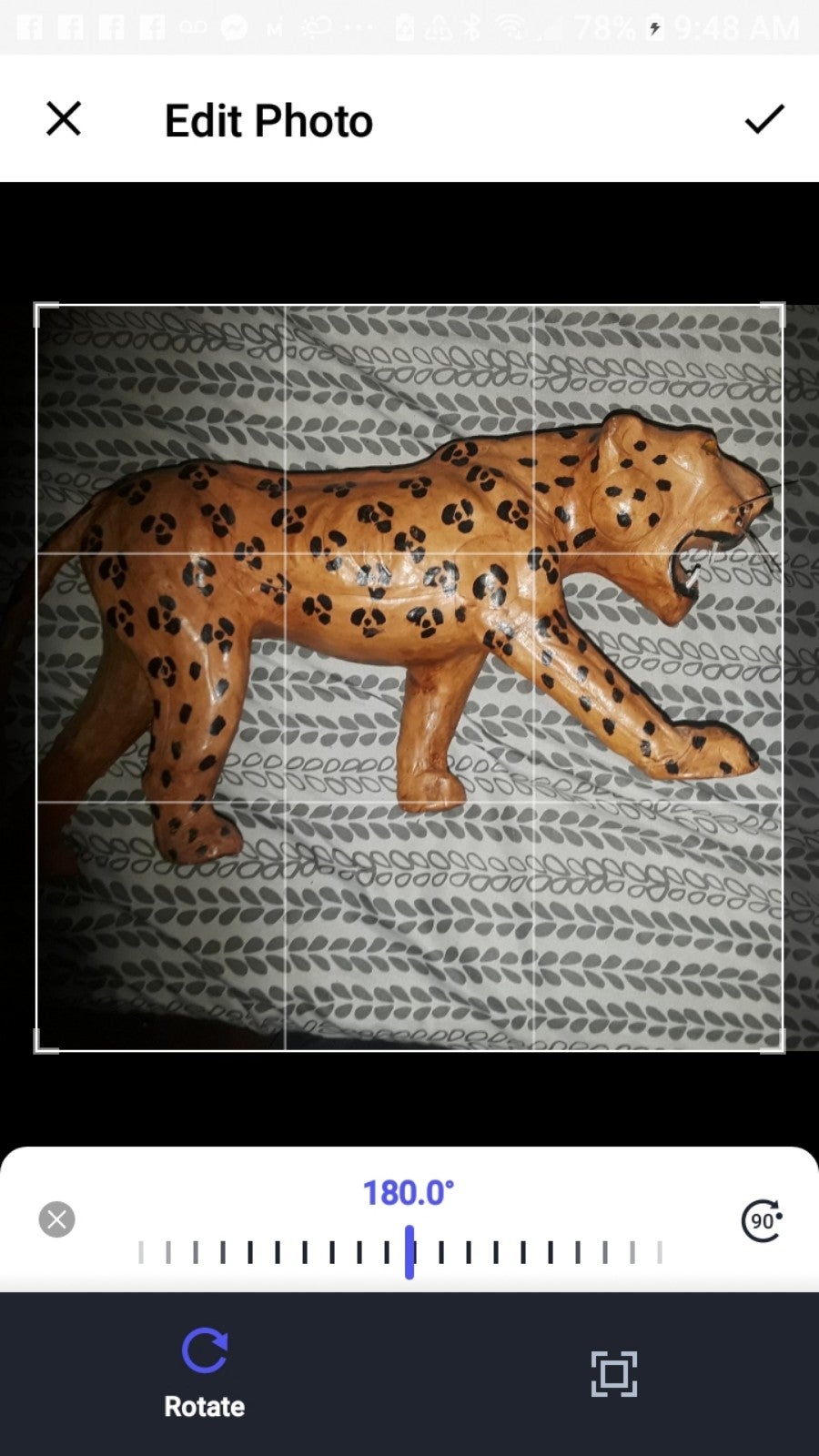 One leopard leather wrapped see pic