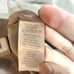 NWT EVERLANE The Washable Silk Cropped Cami top Burnt Sugar Brown Tan Size 10