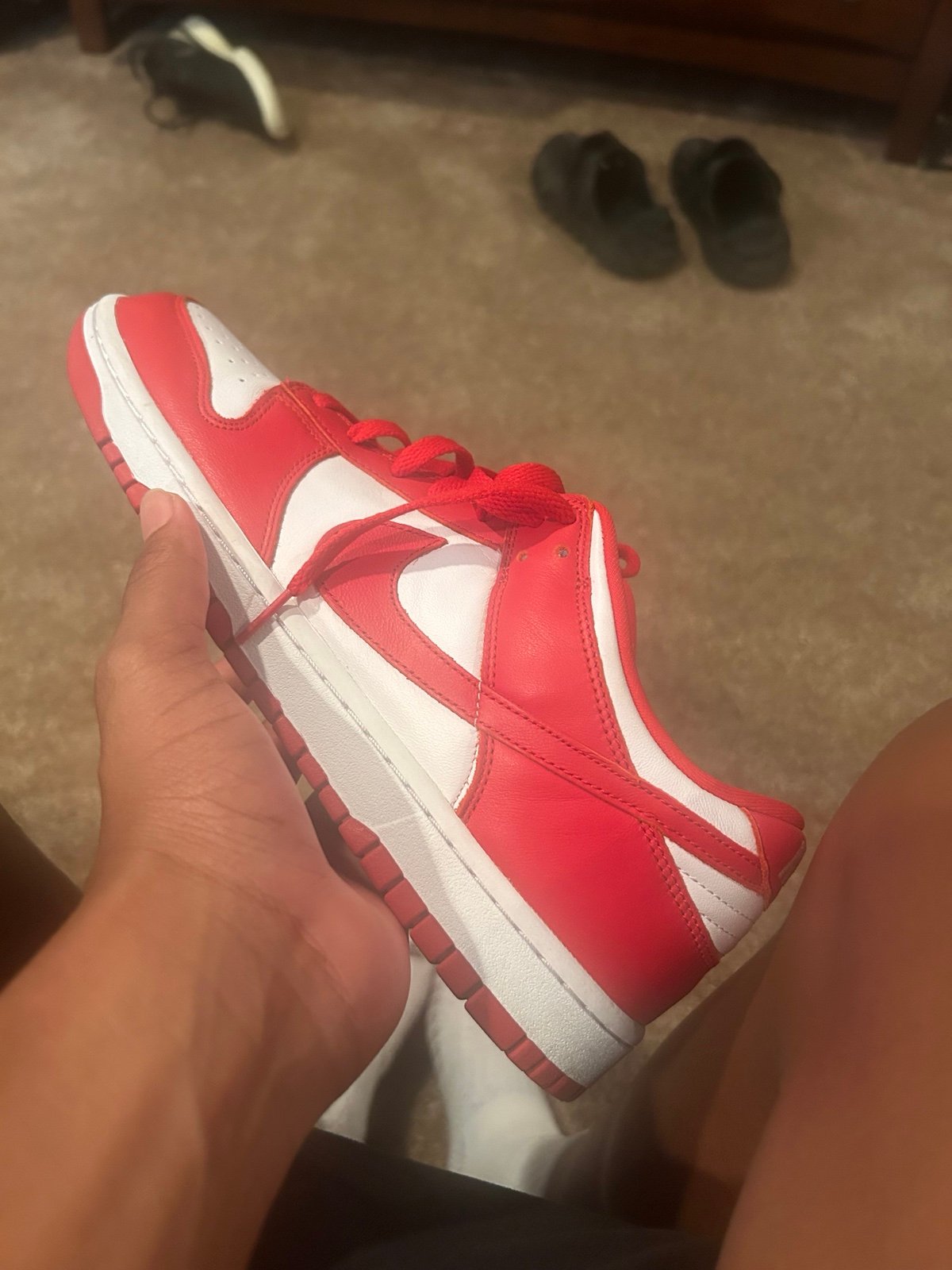 Nike dunks low