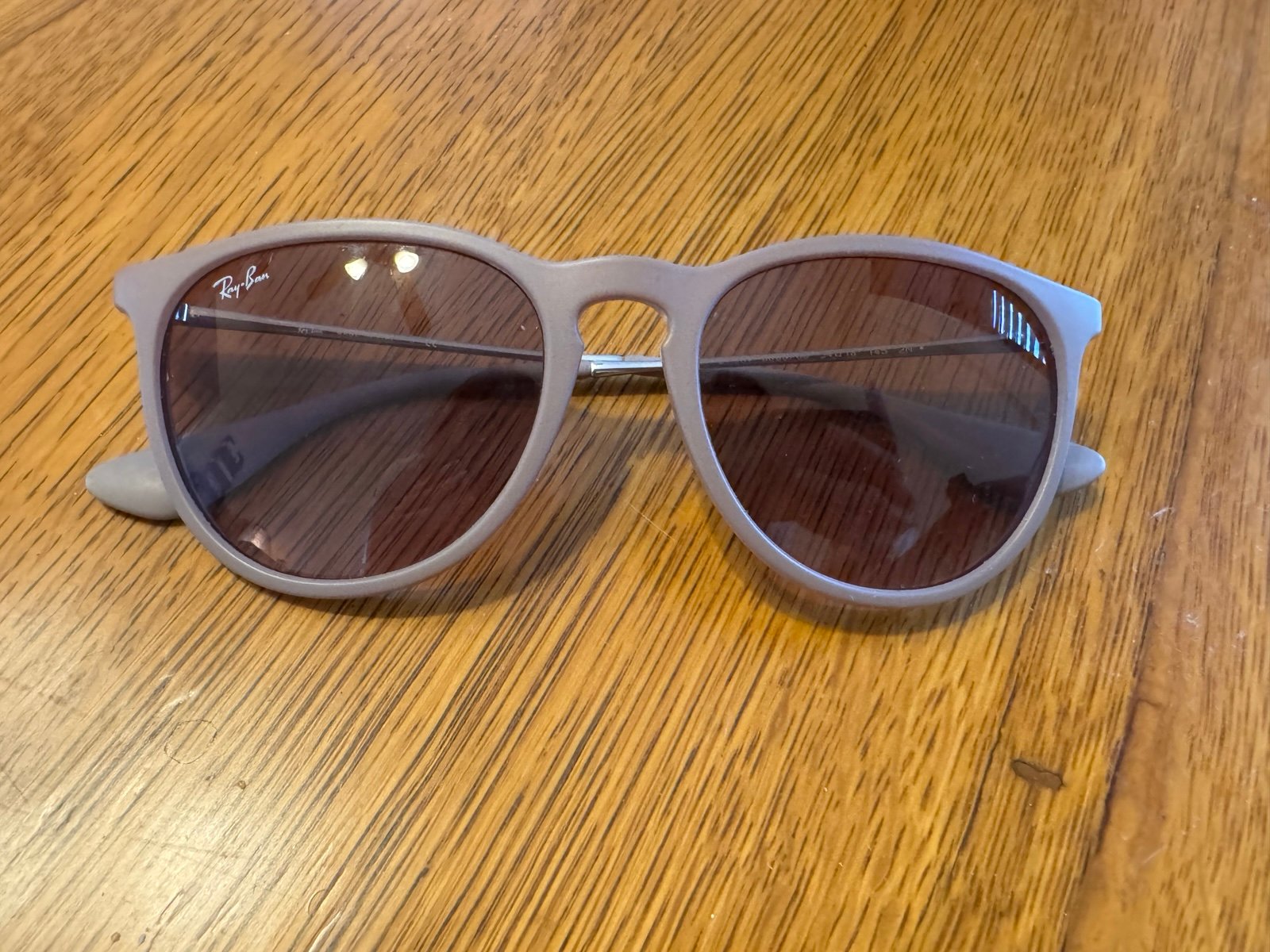 Ray-Ban Erika Sunglasses