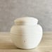 65 cu/in Small Size - Pet Urn - Urn for Human Ashes