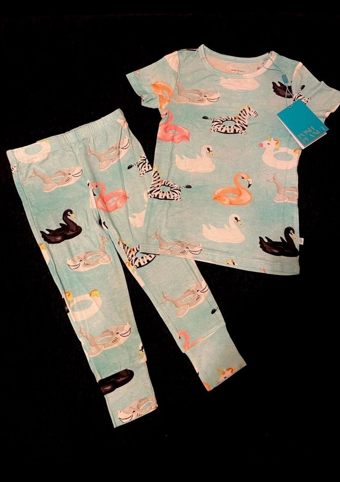Posh Peanut Lenny Short Sleeve Bamboo Pajamas 4T