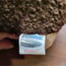 NEW Vintage TY Beanie Babies Prickles Hedgehog