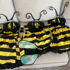 Three Sisters Bee Halloween Costumes