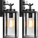 2 Pack Dusk to Dawn Outdoor Wall Lantern with Sensor