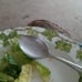 Spoon