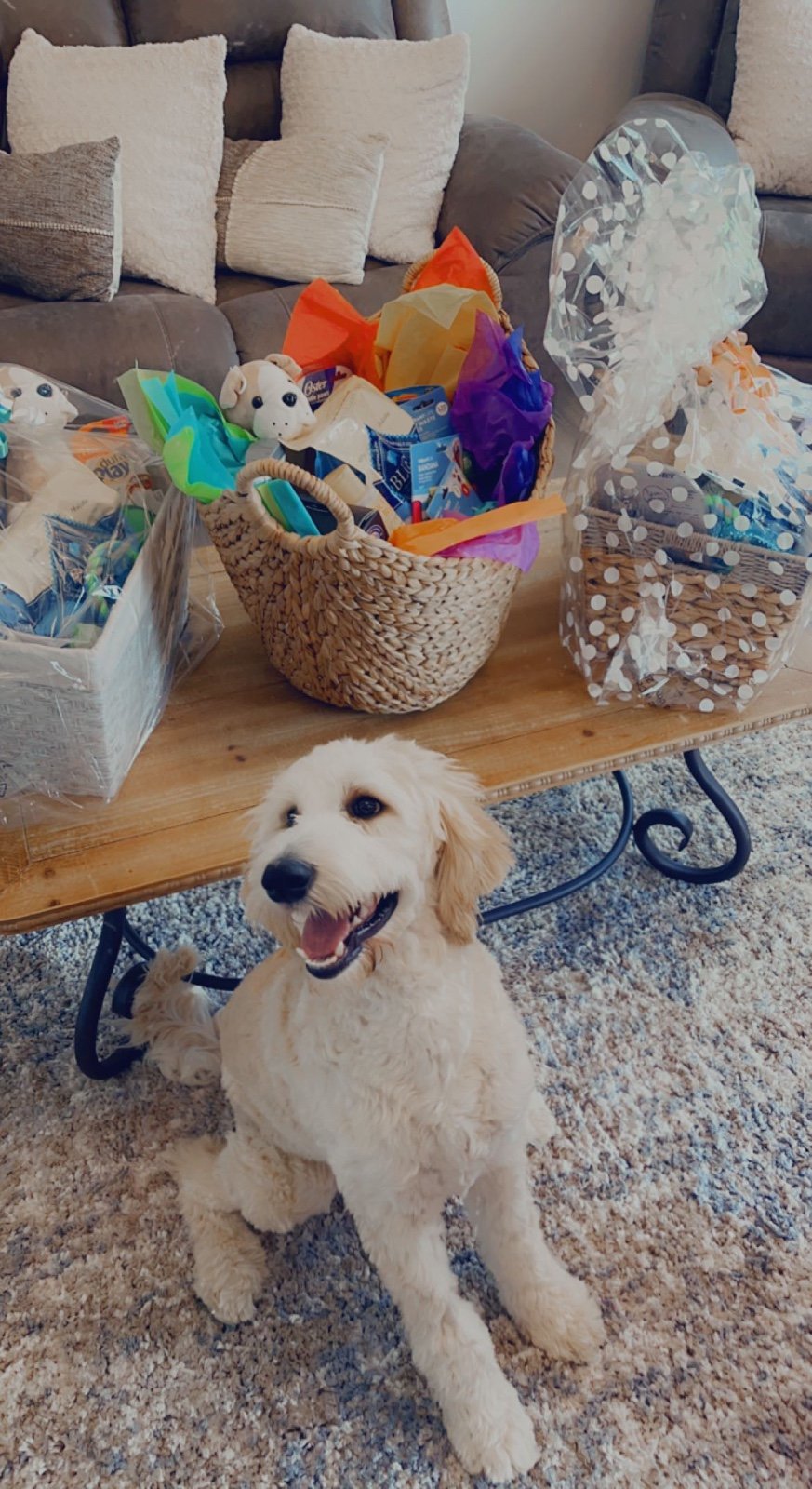 Decorative dog or puppy baskets