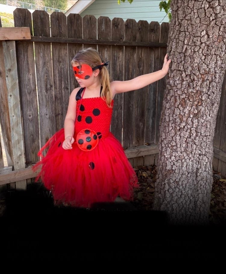 Ladybug Girl Dress