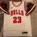 Jordan 1 Satin Bred with Chicago Bulls Jersey