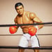 WWE ULTIMATE EDITION SDCC MUHAMMAD ALI