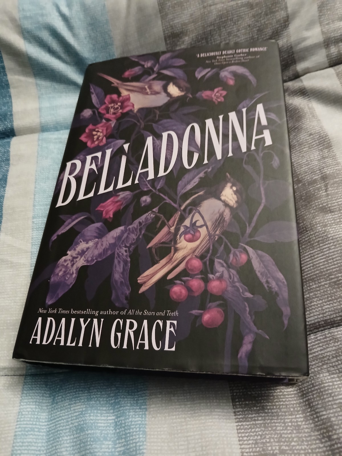 Belladonna fairyloot