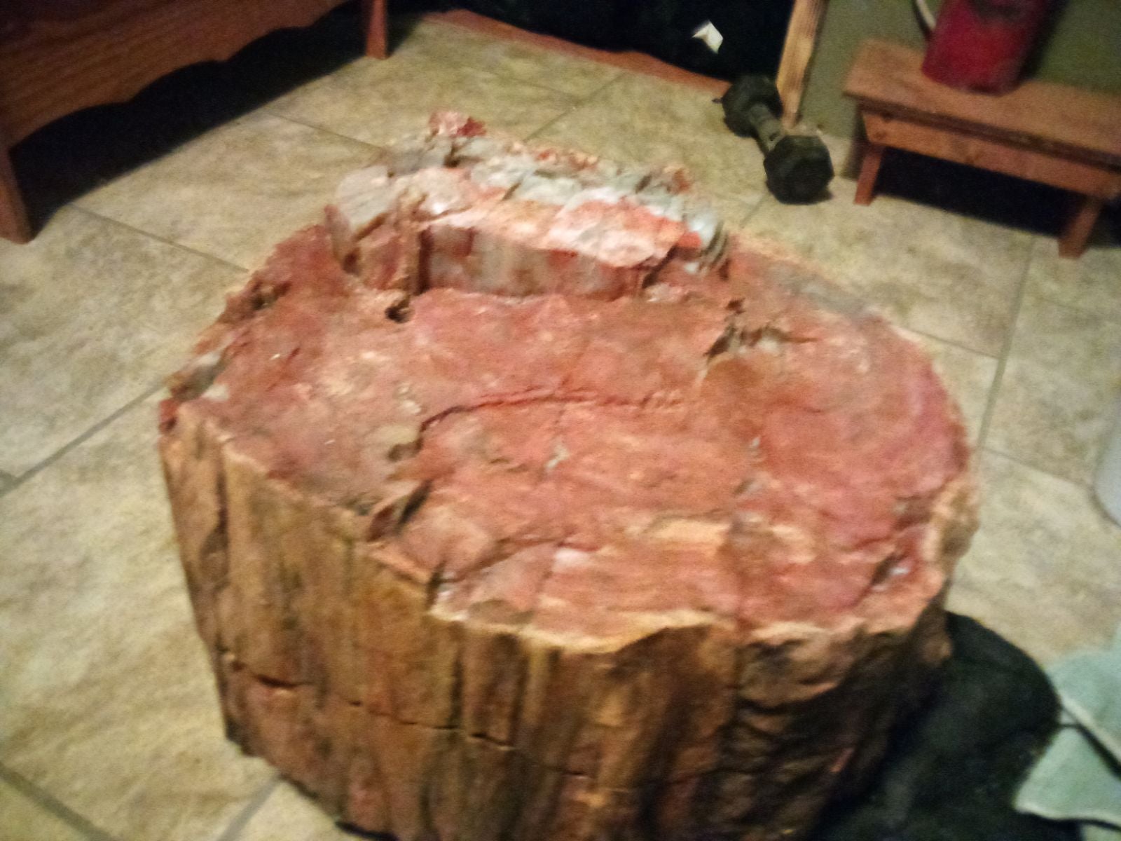 Petrified forest