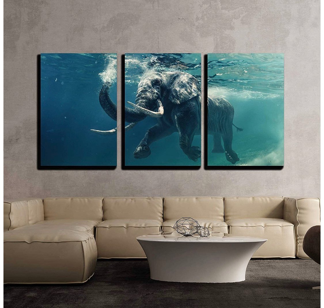 Wall Art Elephant 3 pc Canvas Swimming A