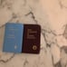 New testament bibles