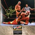 Ric Flair signed photo