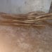 Driftwood